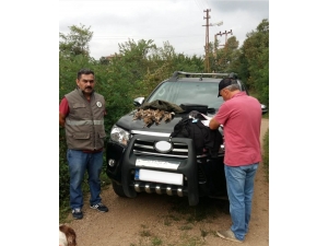 Ordu’da Yasak Avcılara Geçit Yok