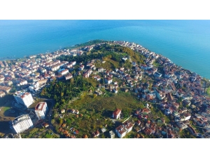 Ünye’de Yeşil Alan Ortalaması Dünya Ortalamasını Geçti