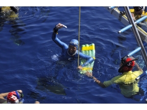 Serbest Dalış Dünya Şampiyonası Ve Uluslararası Serbest Dalış Kaş Başka Yarışları Kaş’ta Yapılacak