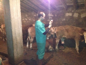 Ağrı’da Sonbahar Aşısı Başladı