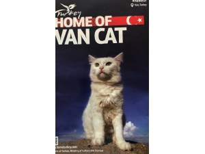 ‘Van Güzel’ Kitapçığı Kültür Ve Turizm Camiasının Hizmetine Sunuldu