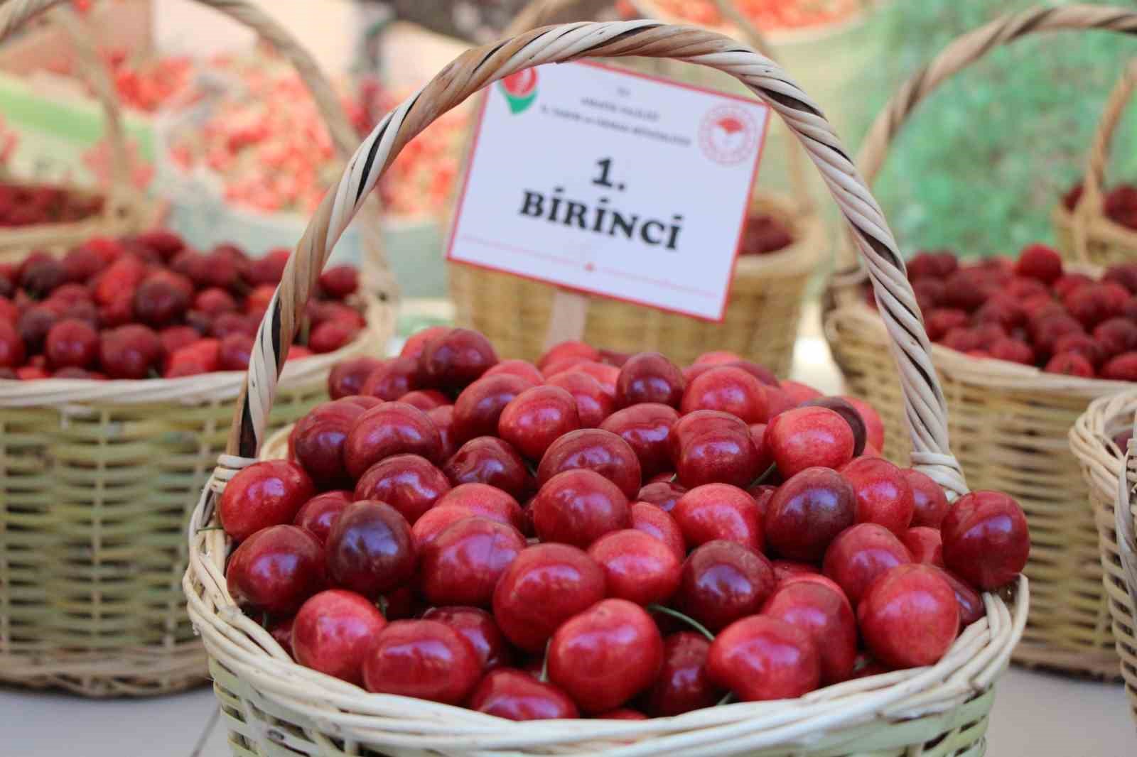 amasya-da-65-kiraz-tesvik-yarismasi-yapildi