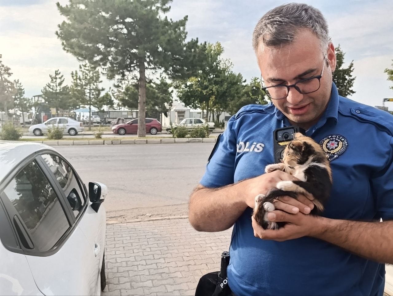 polis-bu-kez-bir-yavru-kedi-icin-seferber-oldu