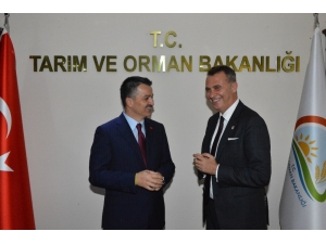 Bakan Pakdemirli: “Maçlarda Sayılar, Skorlar Önemli Değil, Önemli Olan Dostluk Kazansın”