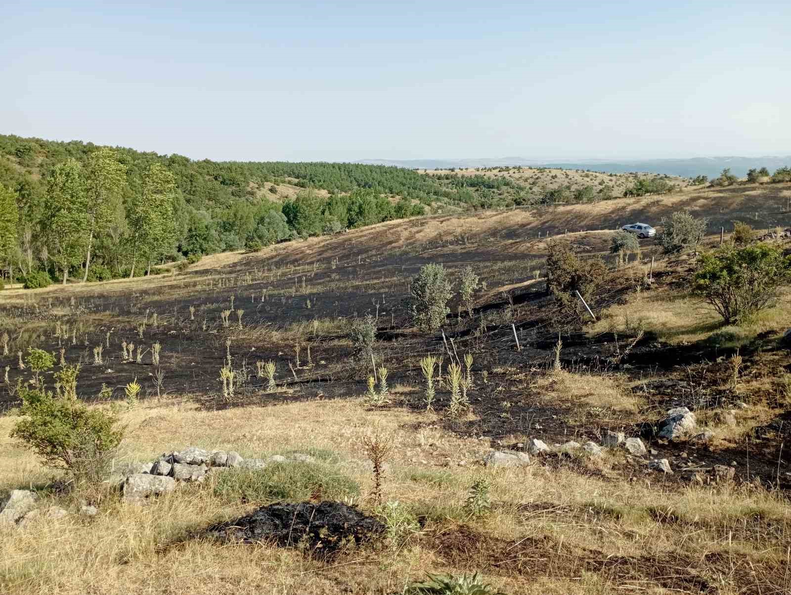 tokat-ta-ortu-yangini-15-donum-ekili-arazi-kule-dondu