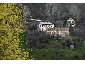 Doğu Karadeniz’de En Fazla Sit Alanı Ordu Ve Gümüşhane’de