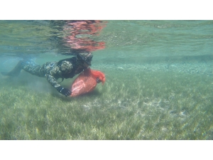 Dalış Tuzla Ve Yediadalar’da Devam Etti