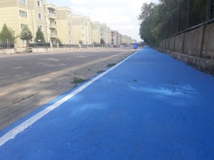 Yeni Yürüyüş Yolu Alikahya’da