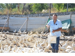 Hobi Olarak Başlamışlardı, Şimdi Taleplere Yetişemiyorlar