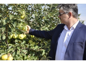 Eskişehir’e Entegre Elma Bahçeleri Kuruluyor