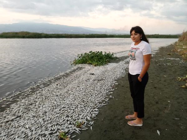 Asi Nehri'nde On Binlerce Balığın Telef Olma Nedeni Oksijen Yetersizliğiymiş