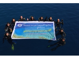 Gökova’da Son Dalış Kargıcık Koyu’nda