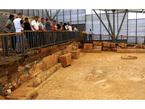 1500 Yıllık Mozaik Görücüye Çıktı