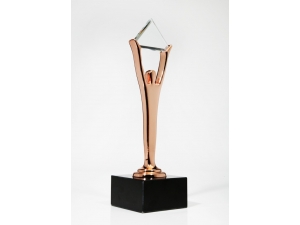 ’Mutluluk Bize Yakışır’ Programına Stevie Ödülü