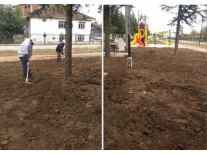 Melensu Park’da Tesviye Çalışması Yapıldı