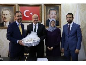 Bakan Kasapoğlu’ndan Sporculara Mesir Macunu Tavsiyesi