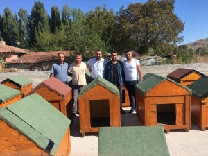 Japon-türk Dostluğu Sokak Hayvanlarına Kadar Uzandı