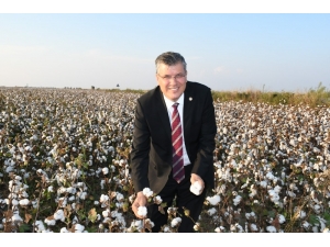 Ayhan Barut’tan Pamuğa Destek Çağrısı