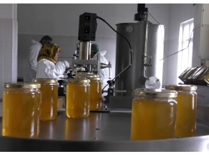 Coğrafi İşaretli Ardahan Balı Paketleniyor