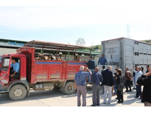 Kocaeli’de 232 Genç Çiftçiye 6 Milyon 960 Bin Tl Hibe Desteği Verildi