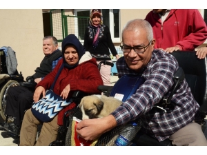 Engelleri Hayvan Sevgisiyle Aşıyorlar