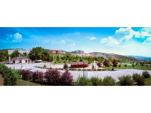 Düzce Üniversitesi Akademik Başarılarını Sürdürüyor