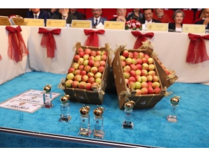 14. ‘Altın Elma’nın Finali Yapıldı