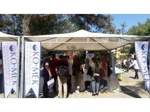 Komek’e Üniversitelilerden Yoğun İlgi