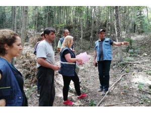 Düzce’de Ki Çalışmalar Yerinde İncelendi