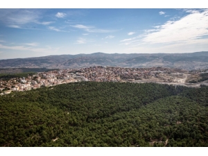 Gördes’in Yüzde 51’i Orman Alanı