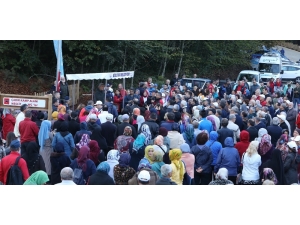 Eriklitepe Tabiat Parkı Tanıtıldı