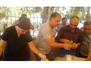 Nurdağı Belediye Başkanı Yıldırır, Aşure Dağıttı