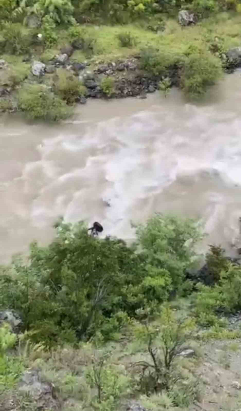 artvin-de-bir-otomobil-coruh-nehri-ne-dustu-baba-ile-oglu-araniyor