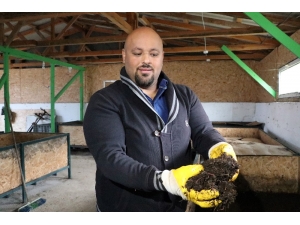 İthal Gübreye Rakip Olan Solucan Gübresi Çiftçinin Gözdesi Haline Geldi