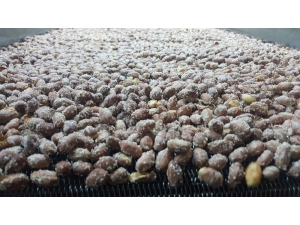 Yeni Mahsul Fıstıklar Tezgahta Yerini Aldı