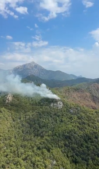 kemer-de-orman-yangini
