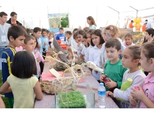 Düzce Üniversitesi Akçakoca Bilime Yelken Açtı Şenliğine Katıldı