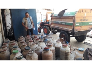 Diyarbakır’da 1 Ton 500 Kilogram Bozuk Zeytin İmha Edildi