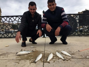 Galata Köprüsü Değil Boğulca Deresi