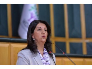 Hdp Grup Toplantısı