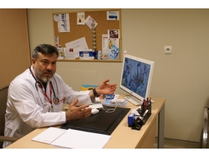 Karadeniz’de Arı Alerjisine Dikkat