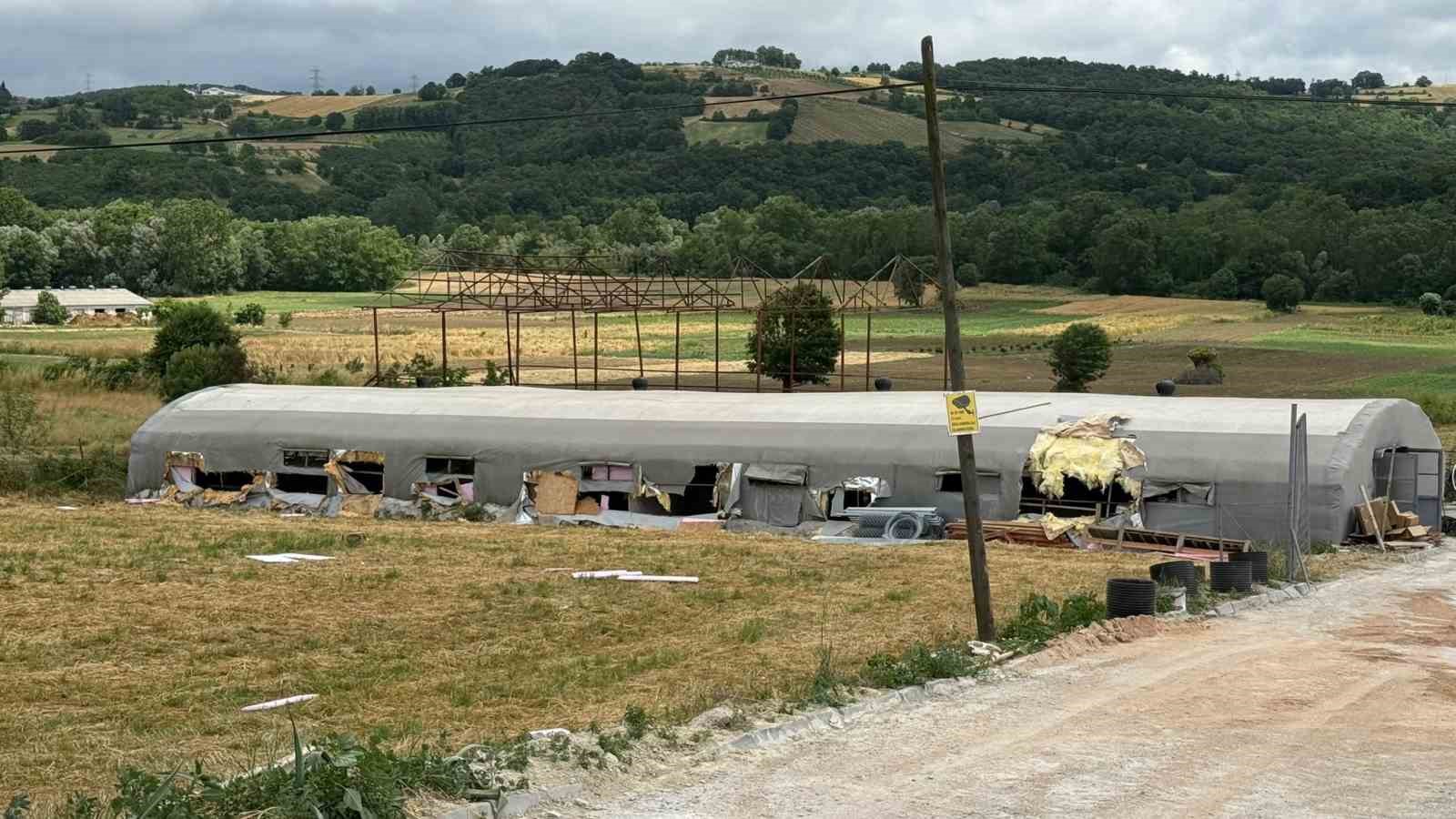 hayvan-ciftligindeki-yanginda-5-kuzu-telef-oldu-bin-balya-kule-dondu