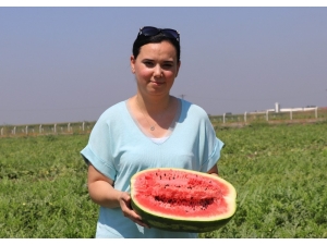 Adana’da Zam Şampiyonu Karpuz