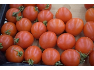 Türkiye’de 7, Rusya’da 16 Lira