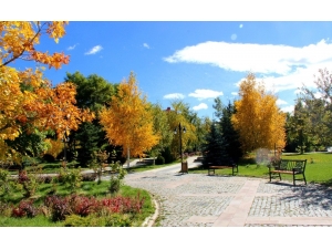 Ata Botanik Park, Hazan Mevsiminde İlgi Odağı