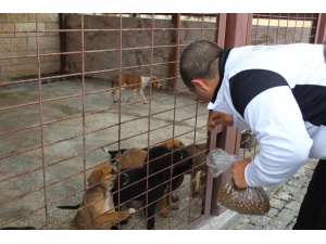 Özel Çocuklar, Sevgilerini Sahipsiz Hayvanlarla Paylaştı