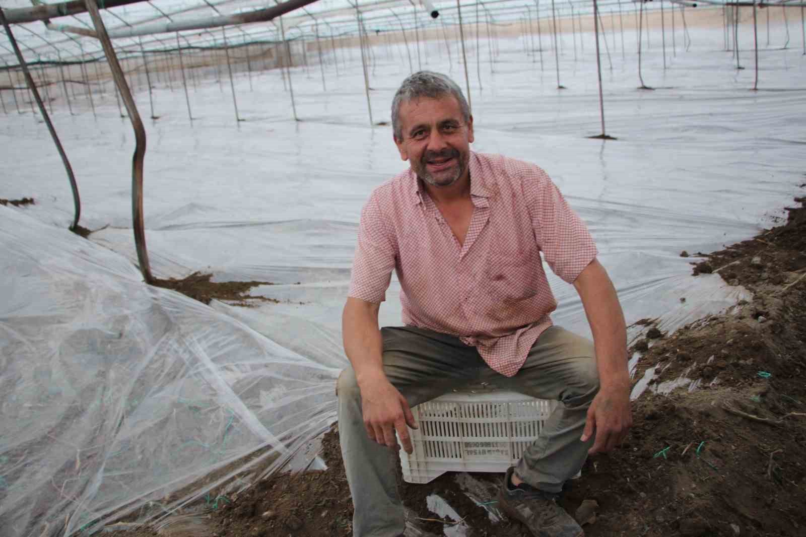 seralarda-yeni-sezon-uretim-icin-solarizasyon-donemi-basladi
