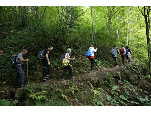 Sonbahar Manzarasıyla Doğa Yürüyüşü