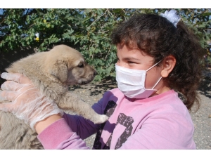Öğrenciler Yavru Köpekleri Doyasıya Sevdi