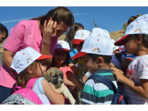 Minik Öğrenciler Barınağı Ziyaret Etti